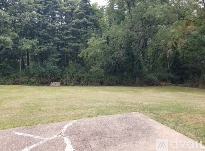 A grassy field with a concrete slab in the foreground and trees in the background.