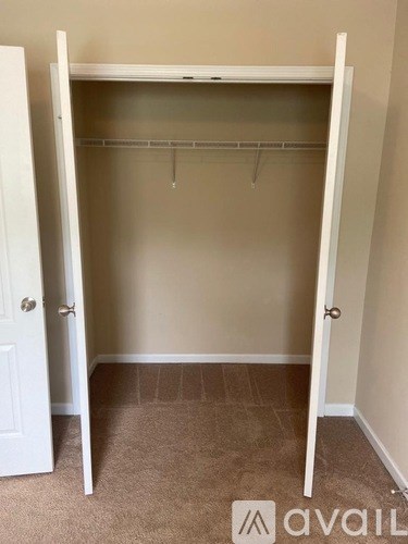 A white closet with a carpeted floor and a white door.