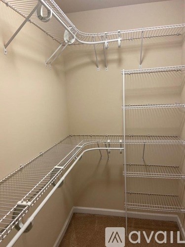 A walk-in closet with shelving and a carpeted floor.