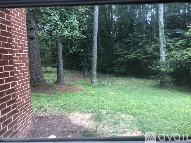 A grassy area with trees and a brick wall in the foreground.