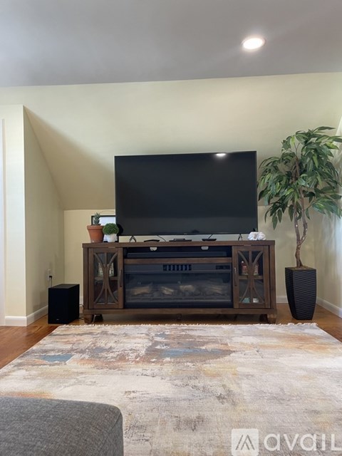 A black television is on a wooden stand with a plant to the side.