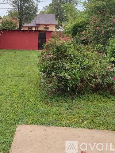 A red wall with a black door and a green bush in front.