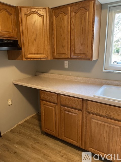 A kitchen with wooden cabinets and a window.