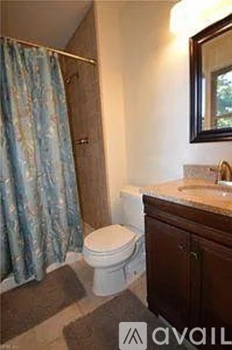 A bathroom with a toilet, sink, and shower curtain.