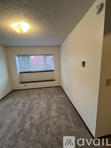 A room with a window and a carpeted floor.
