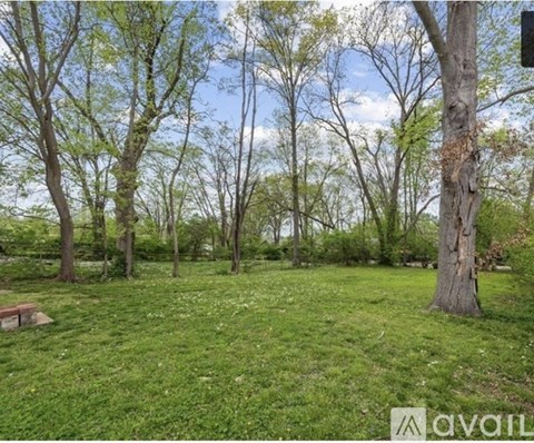 A grassy field with trees and a bench in the distance.