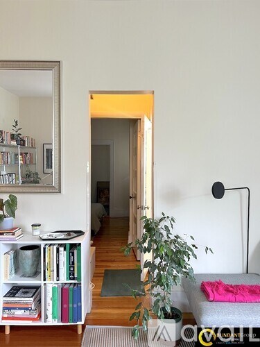 A living room with a grey couch, a green rug, a potted plant, and a bookshelf filled with books.