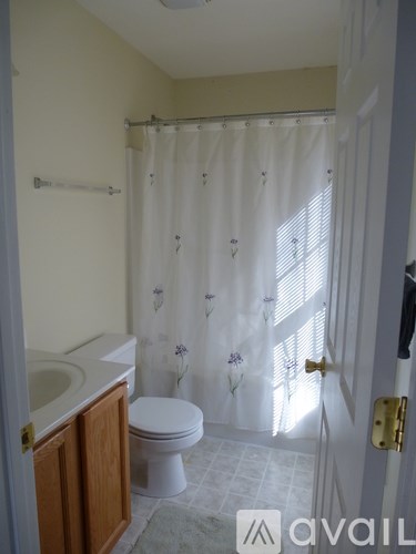A bathroom with a toilet, sink, and shower curtain.