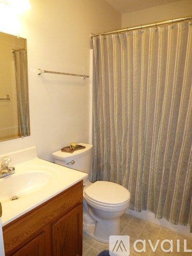 A bathroom with a toilet, sink, and shower curtain.
