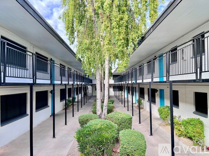 A row of white buildings with black railings and a tree in the middle.