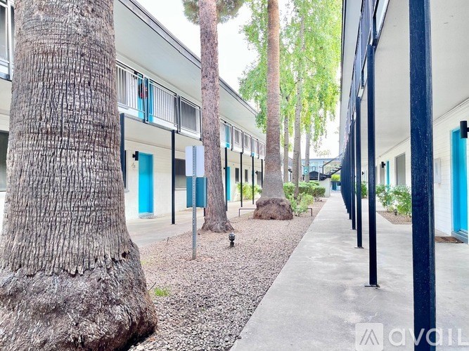 A tree trunk is on the left of the image.