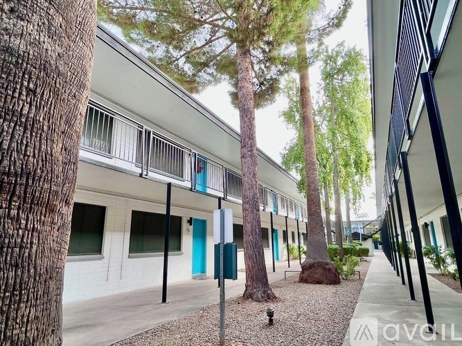 A tree trunk is on the left of the image.