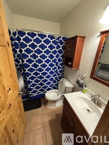 A bathroom with a blue and white shower curtain.
