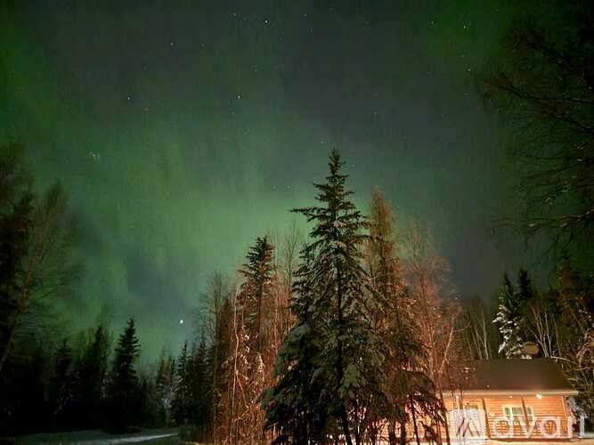 A nighttime scene of a forest with a house and a greenish glow in the sky.