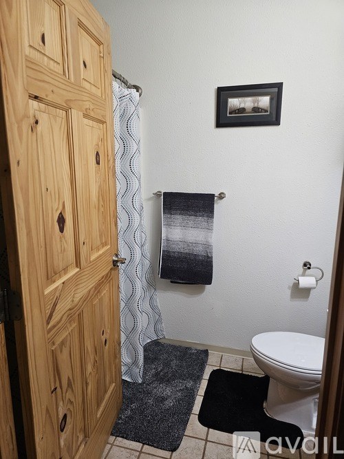 A bathroom with a toilet, a wooden door, and a picture on the wall.