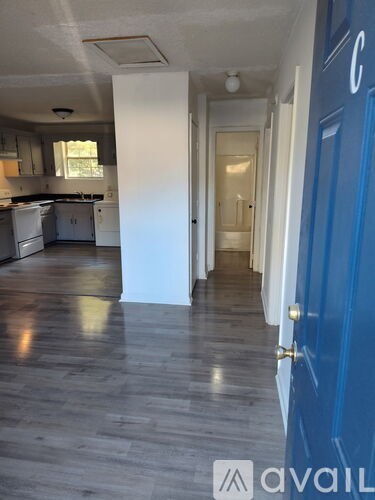 A blue door is on the right side of a hallway.