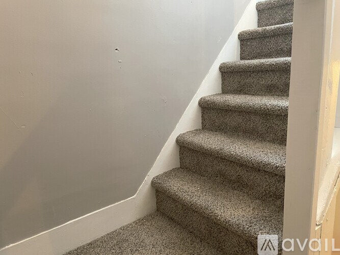 A staircase with a carpeted runner and white risers.