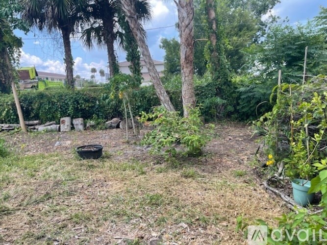A garden with a variety of plants and trees.