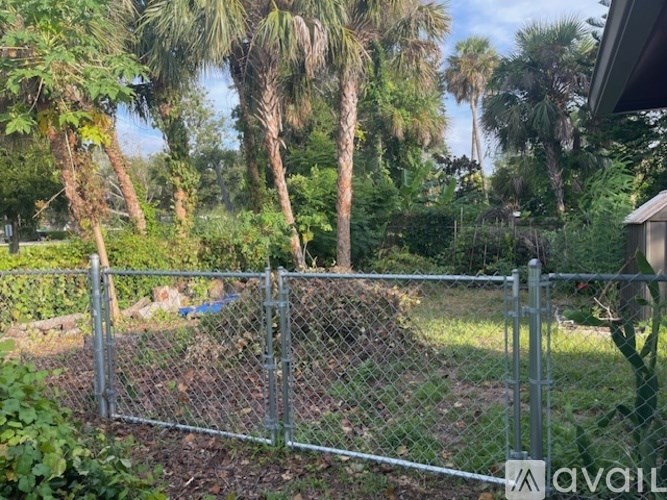 A chain link fence separates a yard from a wooded area.