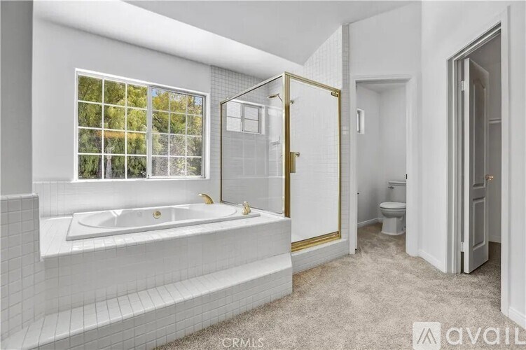 A white bathroom with a large tub and a walk-in shower.