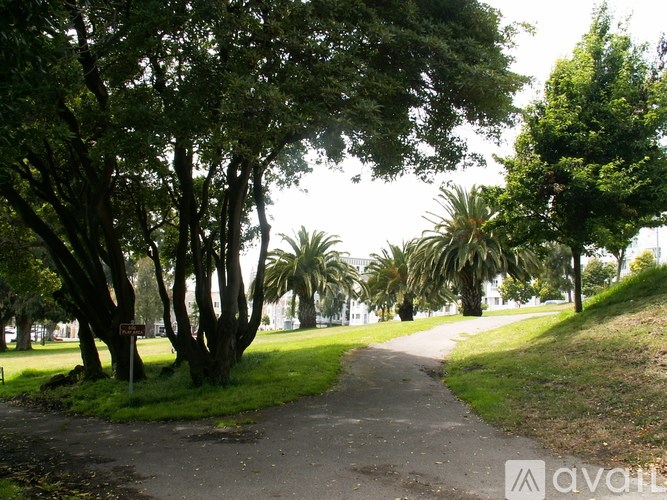 A pathway surrounded by trees and grass.