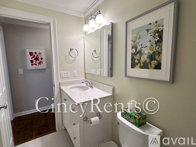 A bathroom with a white sink and a mirror above it.