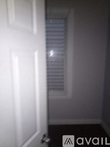 A white door with a handle is open.
