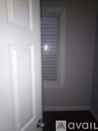 A white door with a handle is open.