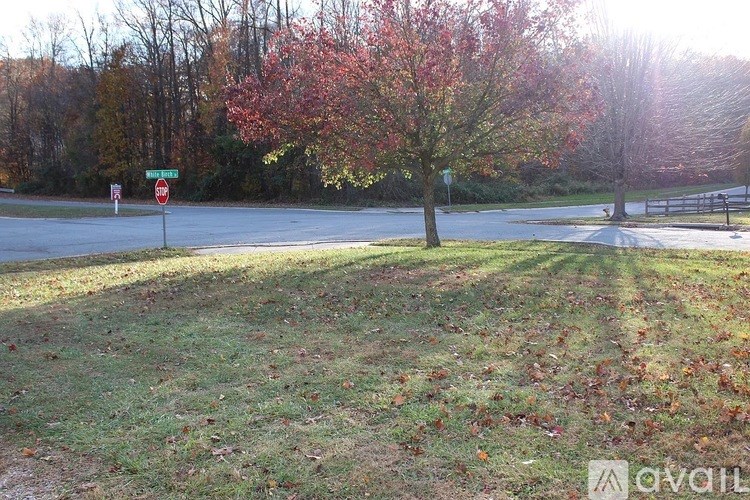 A tree with red leaves is in the foreground of a street corner with a stop sign.