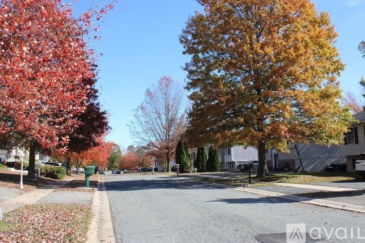 A tree with red leaves is on the left and a tree with yellow leaves is on the right.