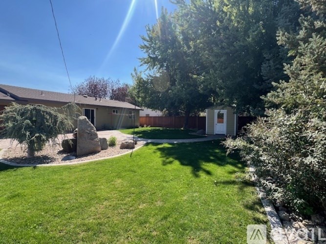 A sunny day in a backyard with a house and trees.