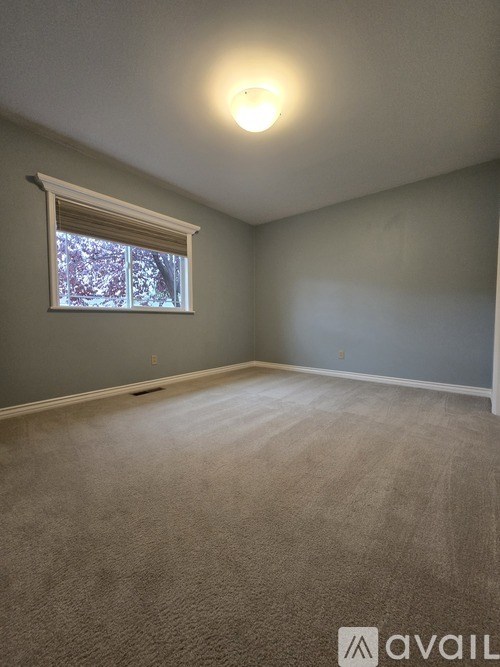 A room with a carpeted floor and a window with blinds.