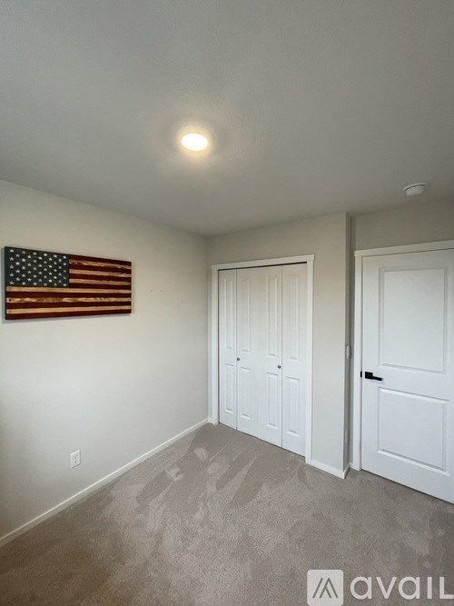A room with a carpeted floor, two doors, and an American flag hanging on the wall.