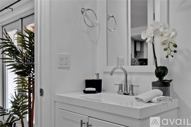 A bathroom with a white sink and a plant.