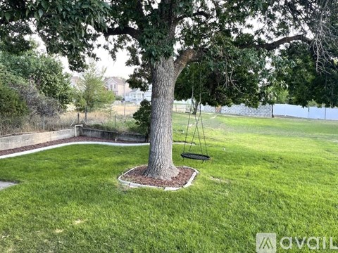 A tree in a grassy area with a swing hanging from it.