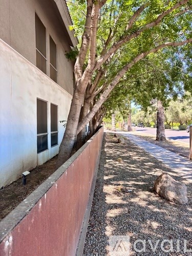 A tree grows out of a window on a building.