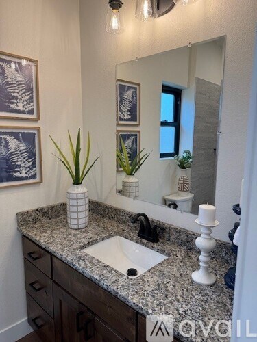 A bathroom with a sink, mirror, and potted plants.