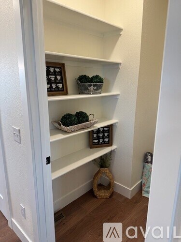 A white shelving unit with a basket of green plants and a picture frame on the top shelf.