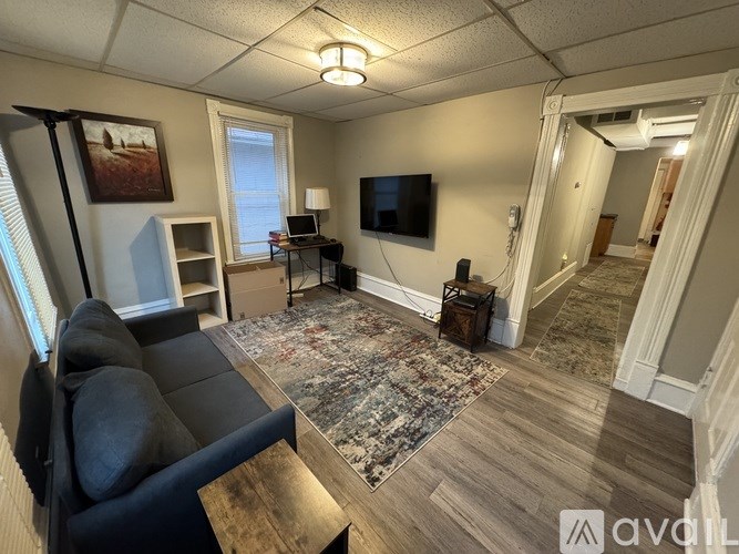 A living room with a couch, a television, and a rug.