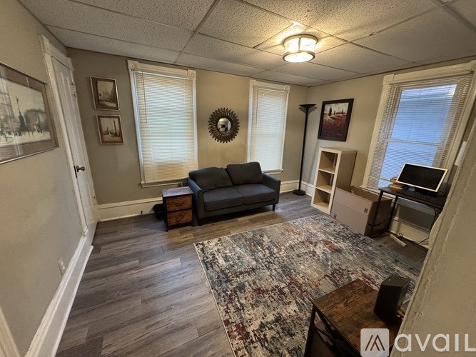 A living room with a couch, a rug, and a television.