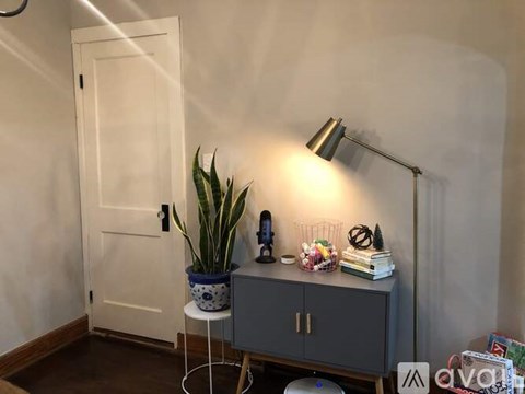 A room with a door, a cabinet, a plant, and a lamp.