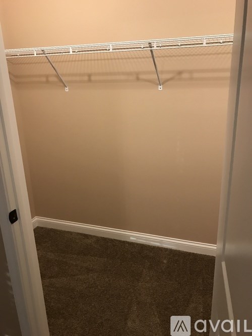 Empty white closet with a carpeted floor.