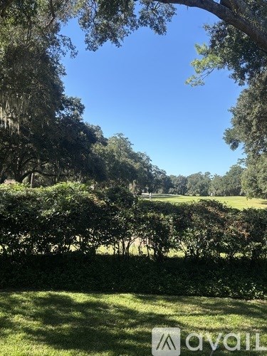 A grassy field with trees and a clear blue sky.