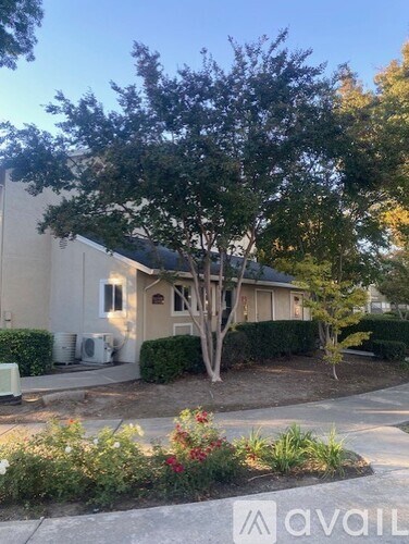 A tree in front of a house with the word "avail" on the bottom right.