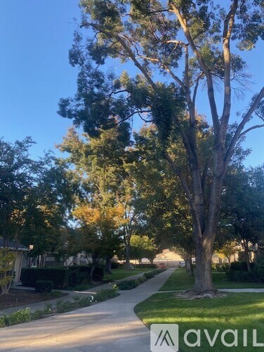 A tree with a sign that says "avail" in front of it.