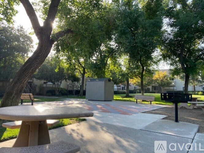 A park with a picnic table and benches under a tree.