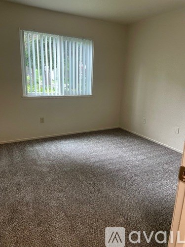 A room with a carpeted floor and a window with blinds.