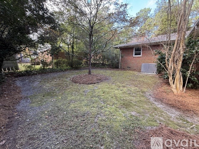 A backyard with a tree and a house in the background.