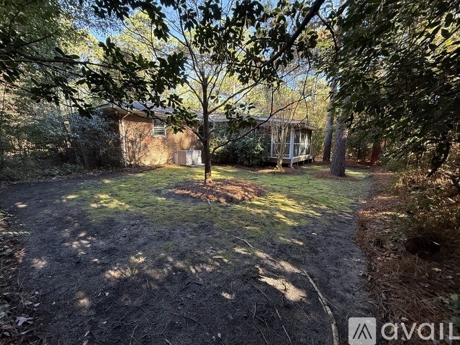A tree in a backyard with a house in the background.