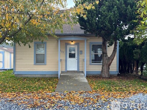 A small house with a white door and windows is surrounded by trees and leaves.
